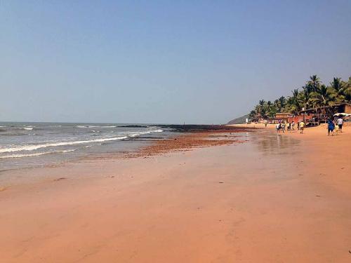Go out for a walk-Ive Gaya-Travel blog-travel stories-India-GOA-9-site