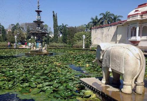 princess-garden-Go out for a walk-Ive Gaya-travel blog stories-post-india-udaipur-asia-3